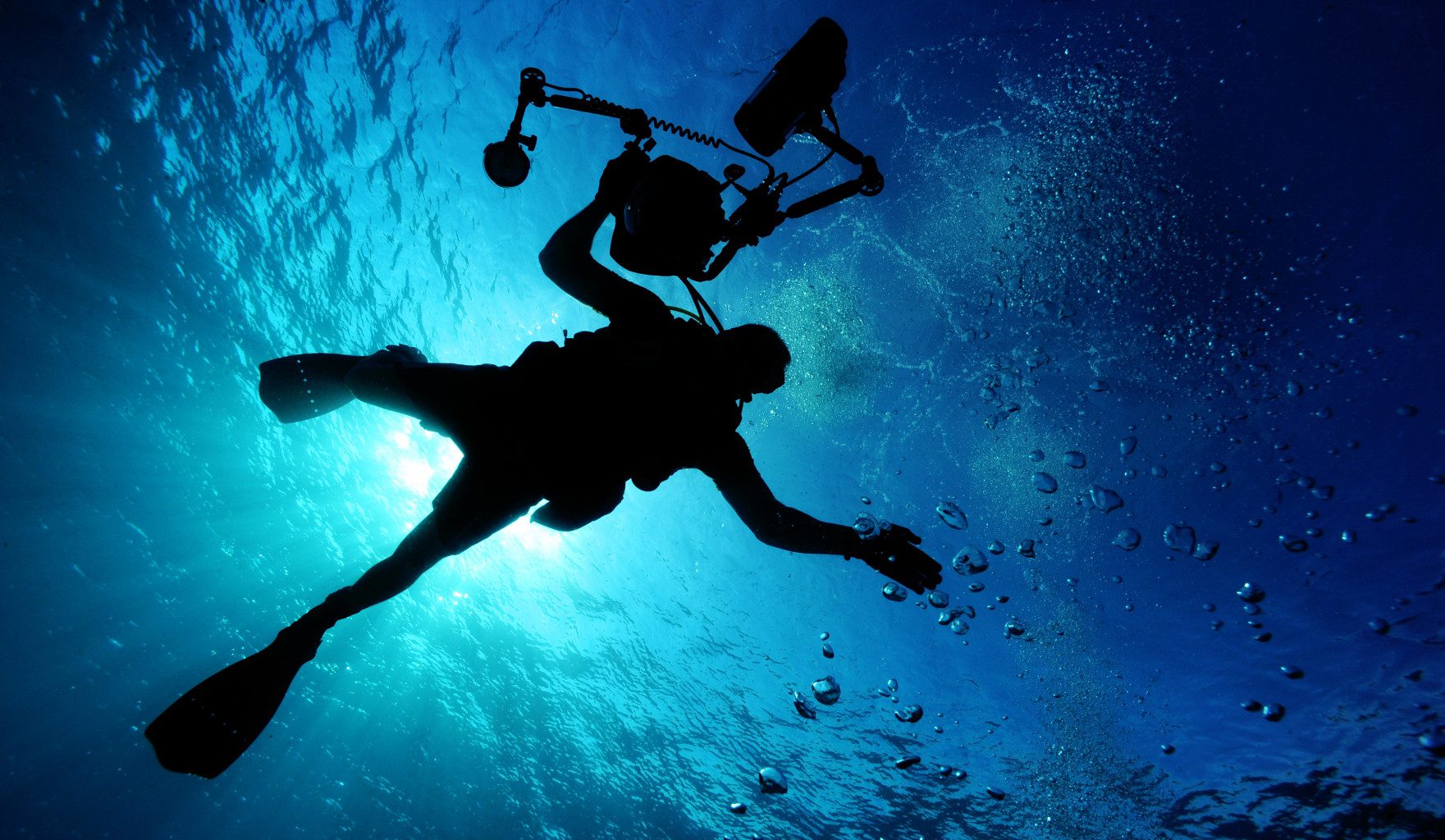 PADI Underwater Digital Photography